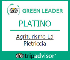 TriAdvisor Green Leader