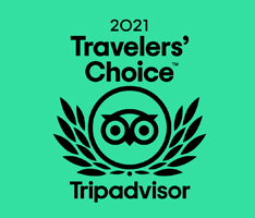 TriAdvisor COE 2020