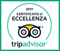 TriAdvisor COE 2019